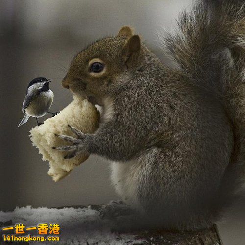 別 怕 ~ 還 有 我！ 10.jpg
