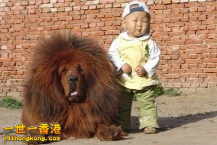 別 怕 ~ 還 有 我！ 15.jpg