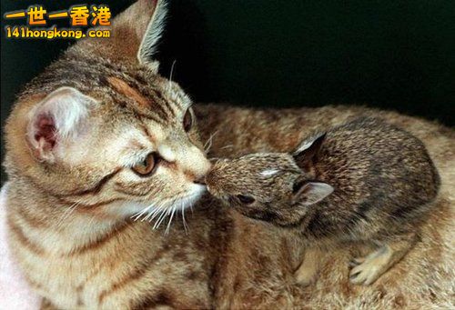 別 怕 ~ 還 有 我！ 18.jpg