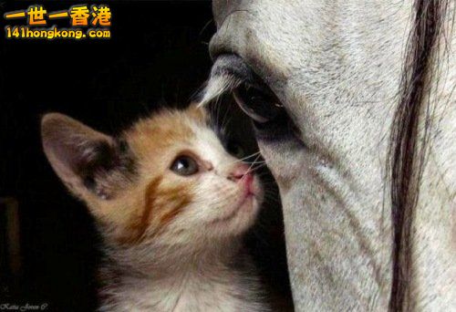 別 怕 ~ 還 有 我！ 27.jpg