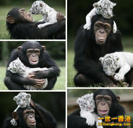 別 怕 ~ 還 有 我！ 32.jpg