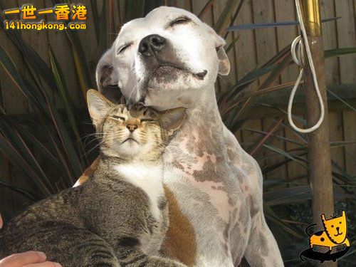 別 怕 ~ 還 有 我！ 41.jpg