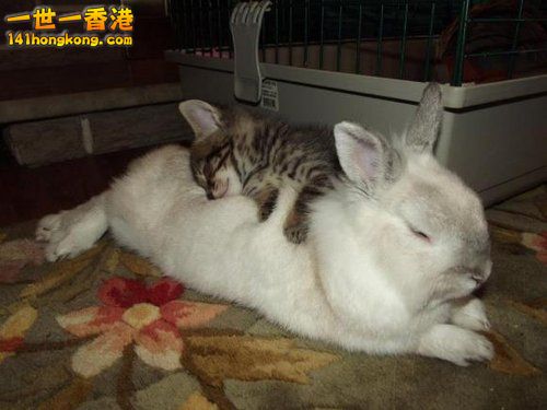 別 怕 ~ 還 有 我！ 42.jpg