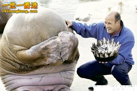 別 怕 ~ 還 有 我！ 49.jpg