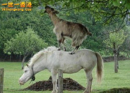 別 怕 ~ 還 有 我！ 50.jpg