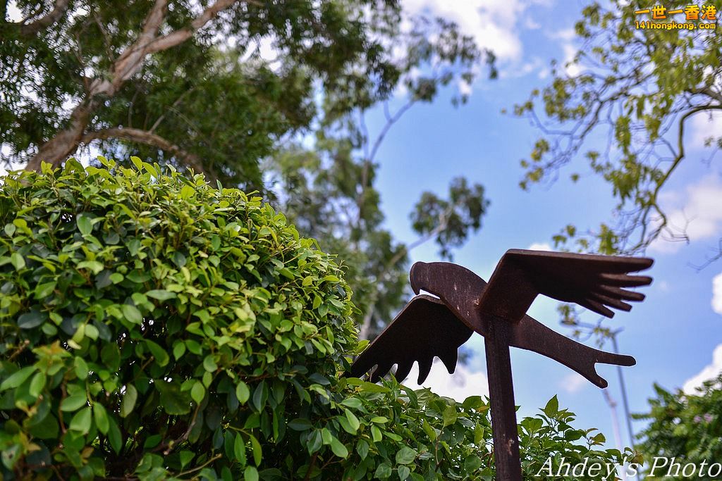 DSC_1137-2.jpg