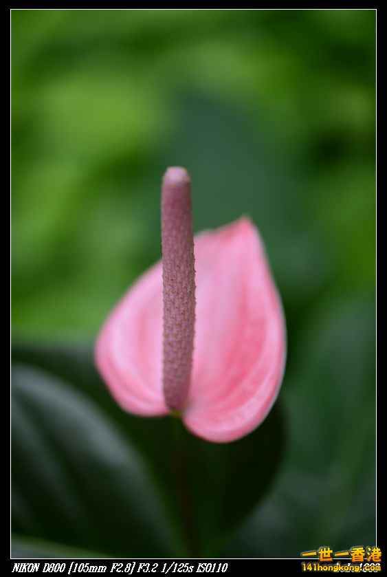 nEO_IMG_DSC_1023.jpg