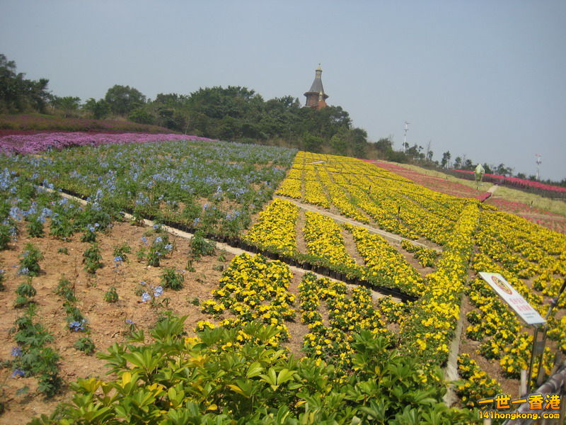 IMG_1815_调整大小.JPG