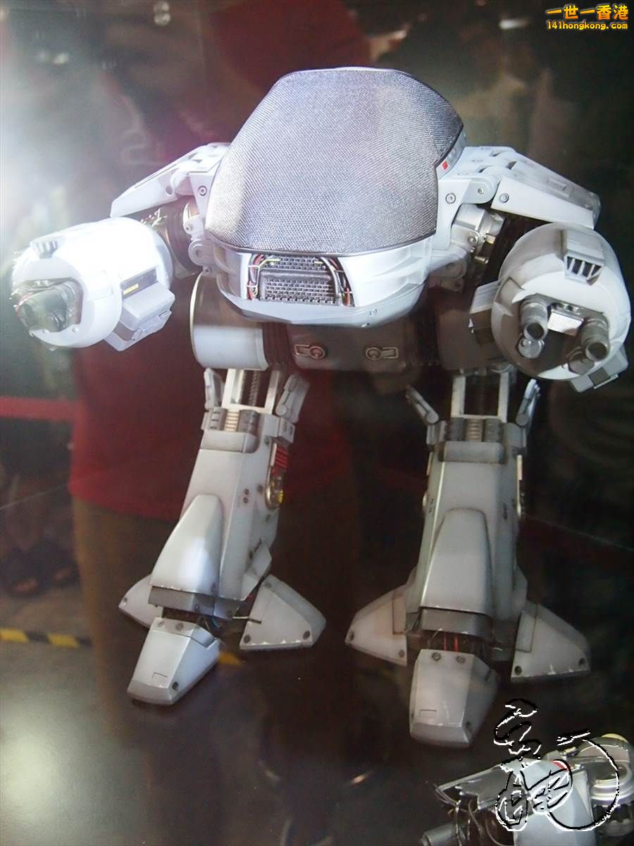 P1010751.jpg