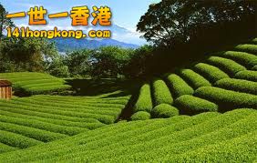 images-1.jpg