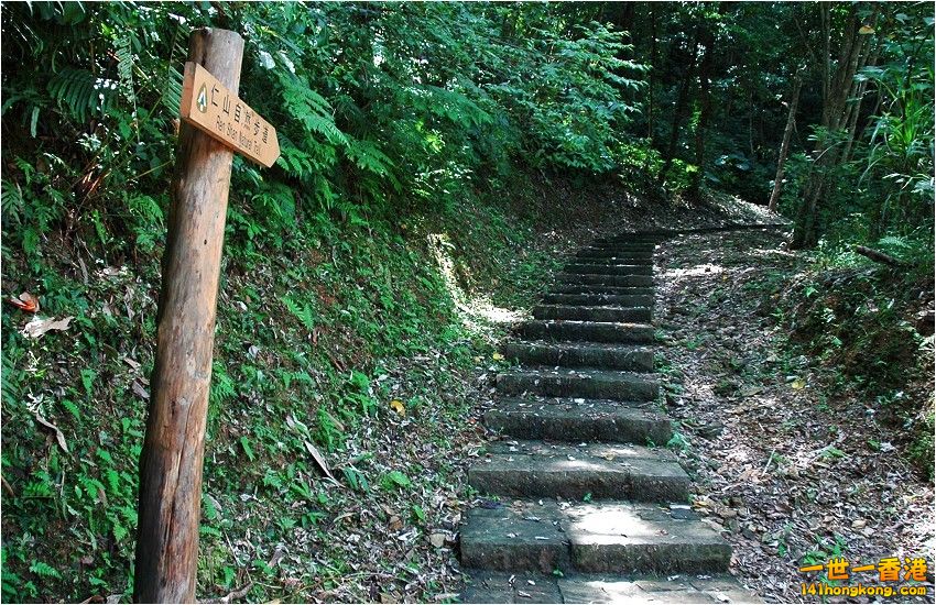 稜線及潮濕的溪溝等地形，植被屬於亞熱帶闊葉林