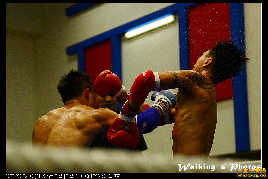 DSC_0655.jpg