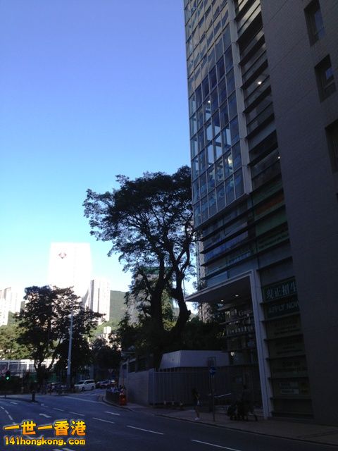photo.jpg