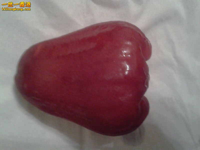 image.jpg