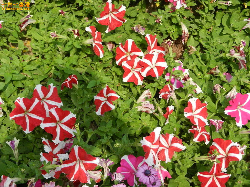 DSCN3862.JPG