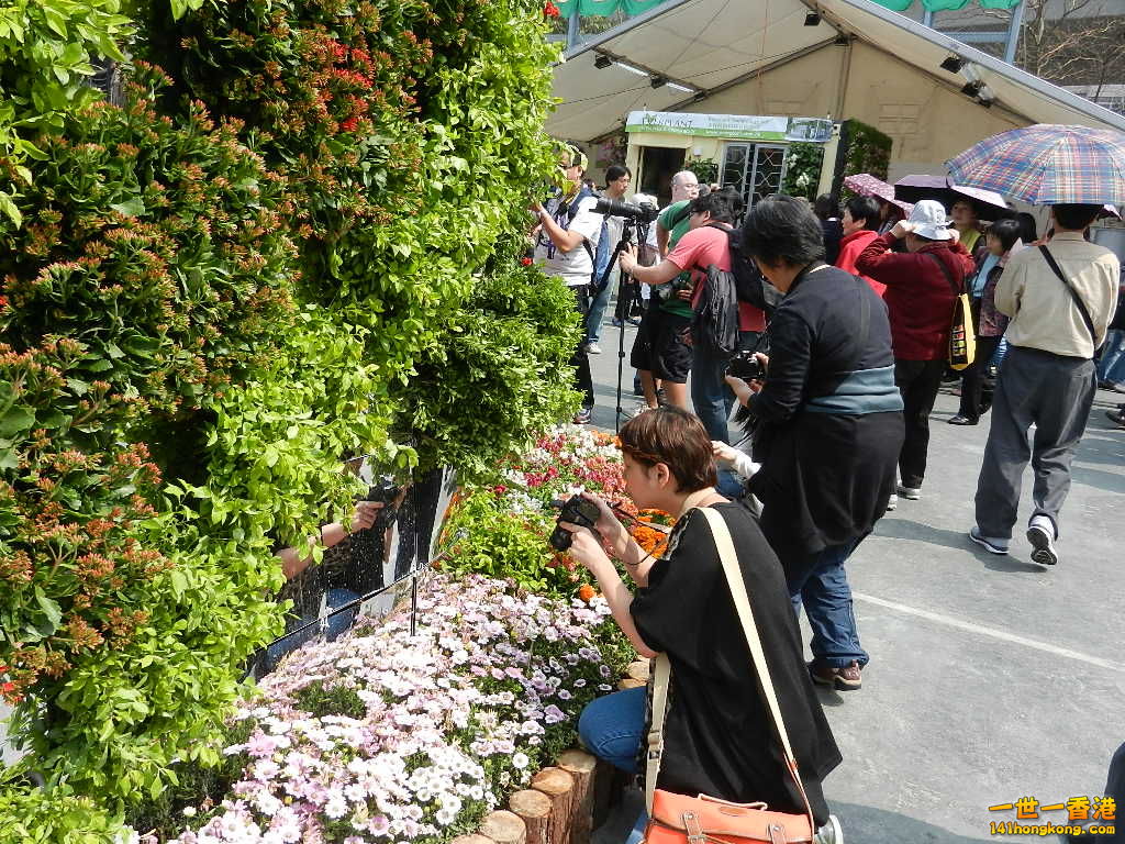 DSCN3812.JPG