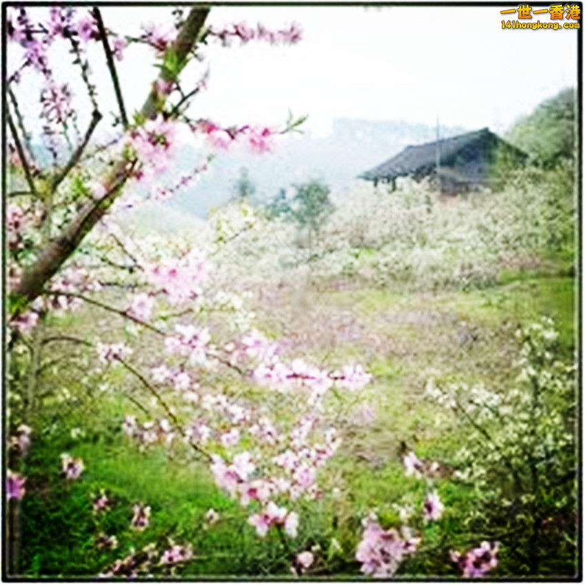 images (16)_副本.jpg