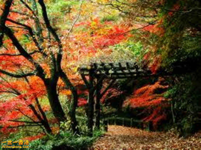 images (18)_副本.jpg