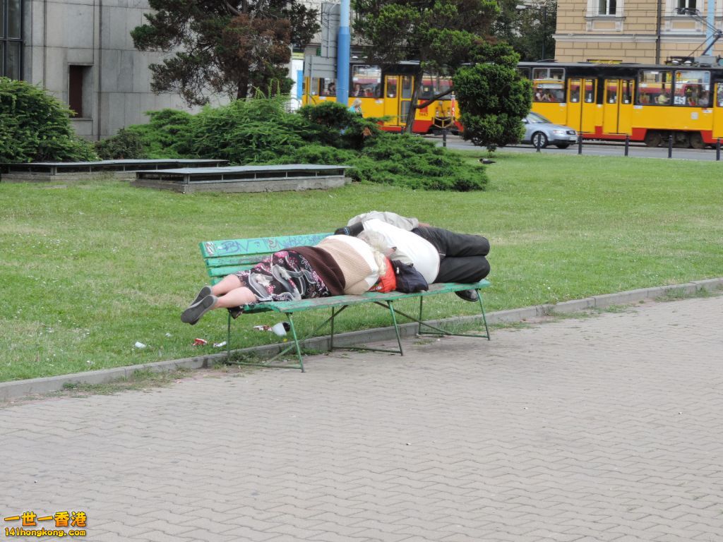 (223).JPG