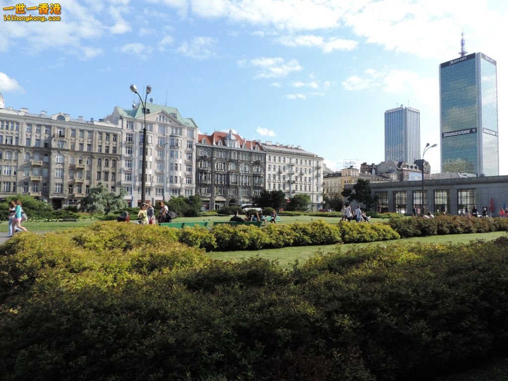 (242).JPG
