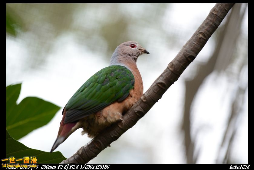 nEO_IMG_DSC_1140.jpg