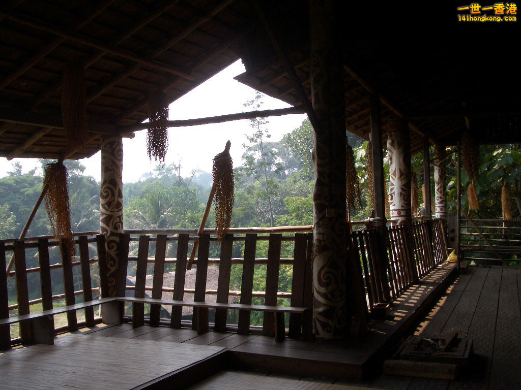 IMGP1469.JPG