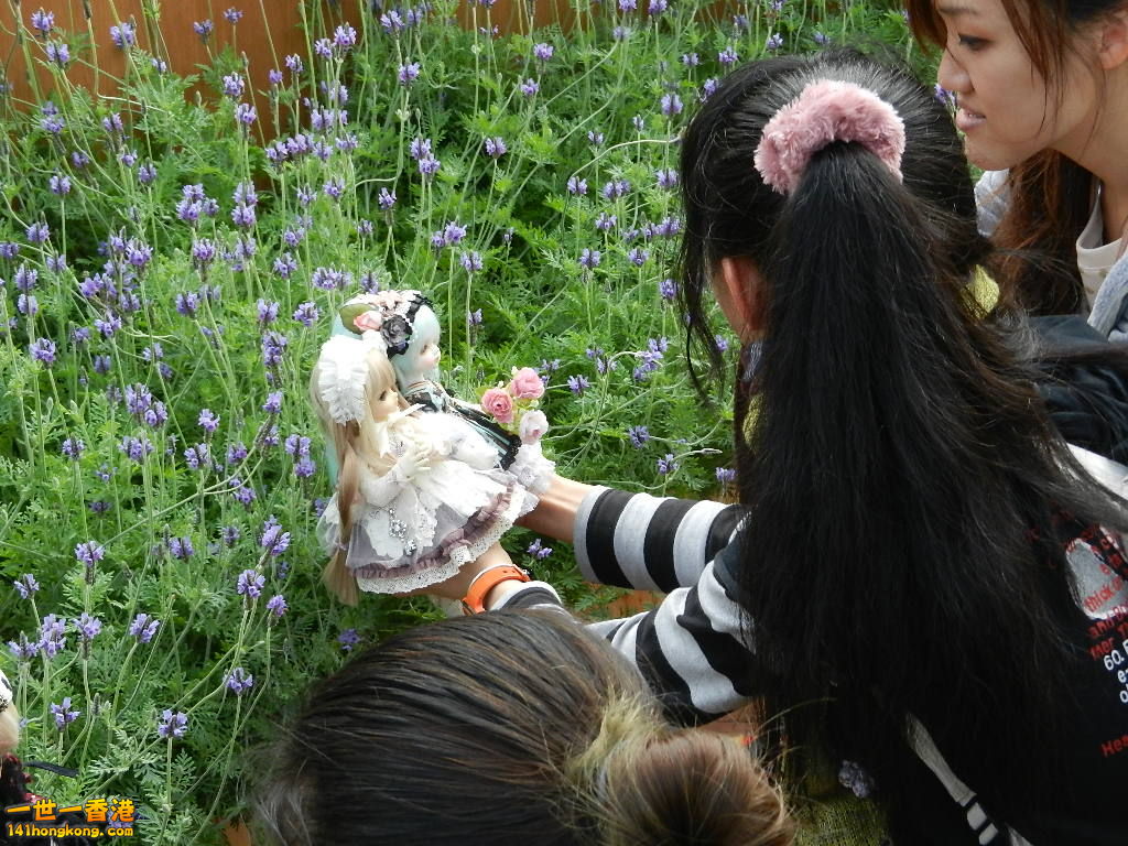 DSCN4085.JPG