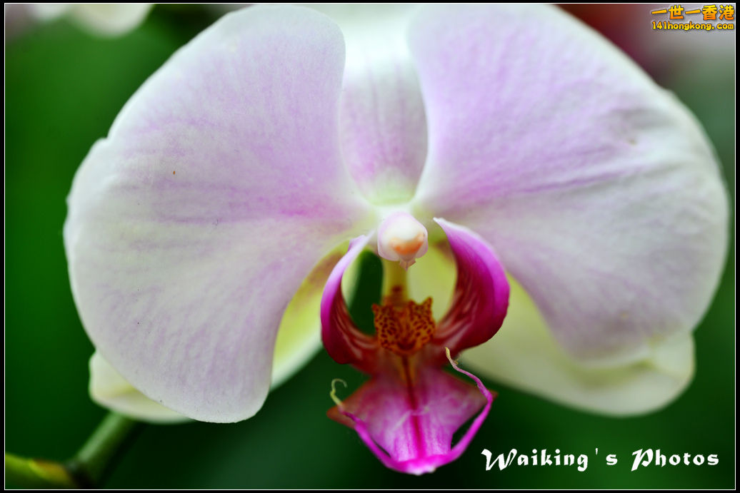 DSC_9938.jpg