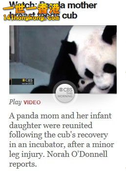 美國各大媒體紛紛報導