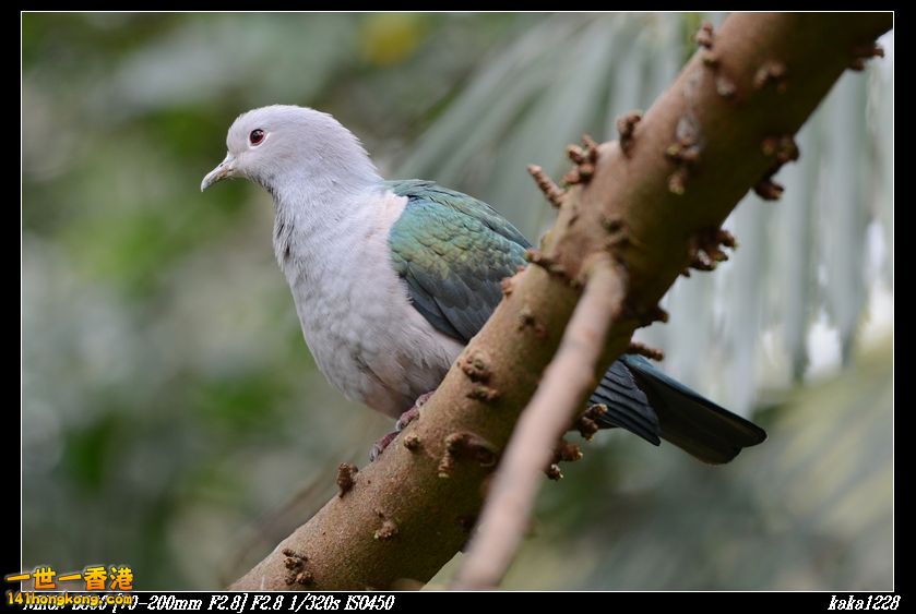 nEO_IMG_DSC_1177.jpg