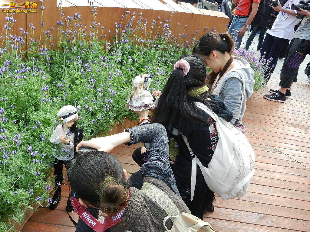 DSCN4087.JPG