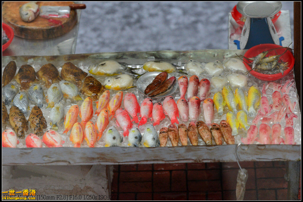 DSC_0719.jpg