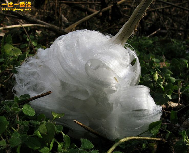 image001 [800x600].jpg