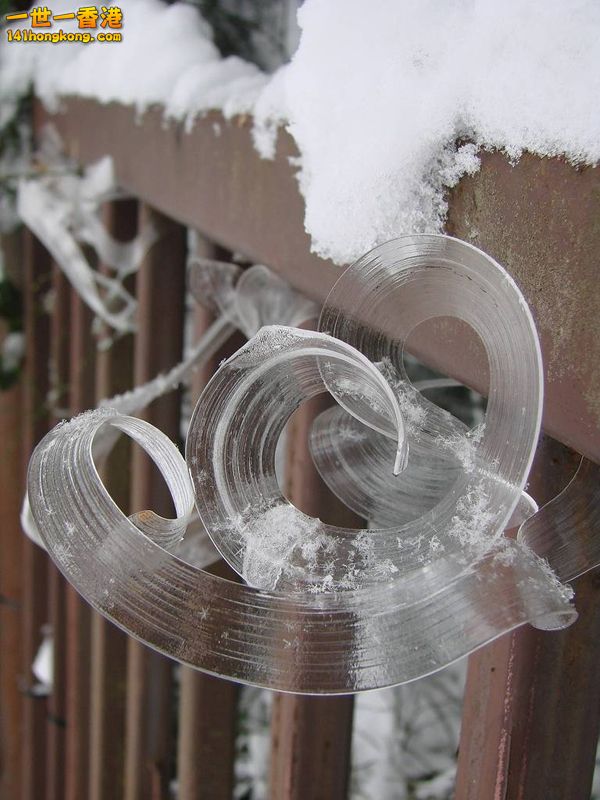 image002 [800x600].jpg