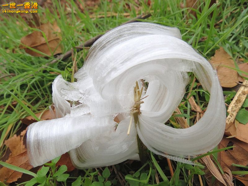 image004 [800x600].jpg