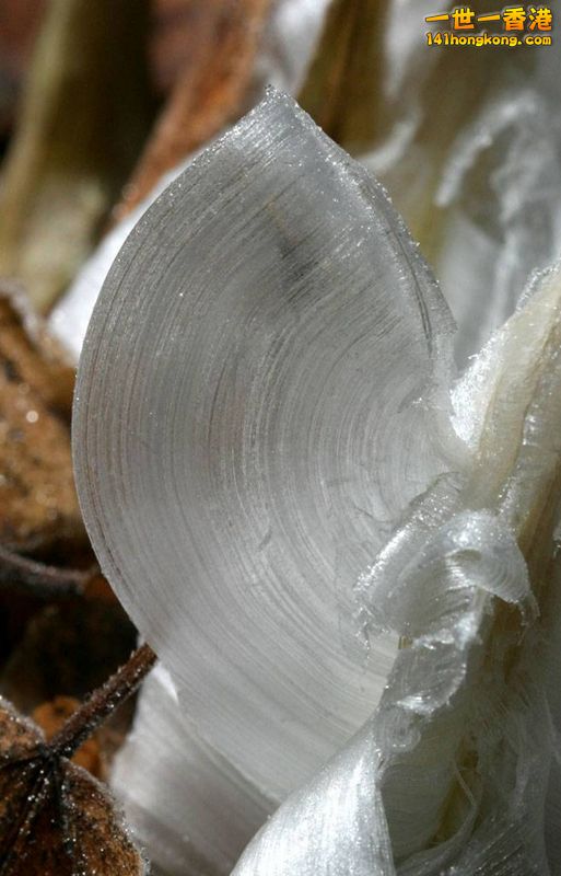 image006 [800x600].jpg