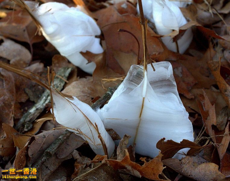 image007 [800x600].jpg