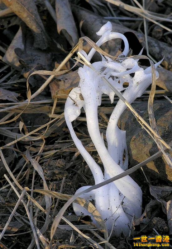 image009 [800x600].jpg