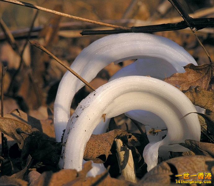 image010 [800x600].jpg