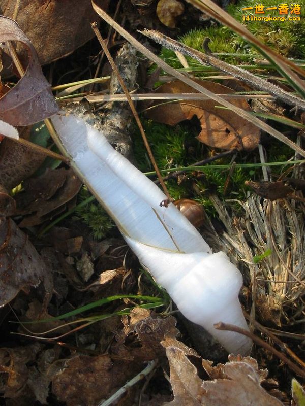 image011 [800x600].jpg