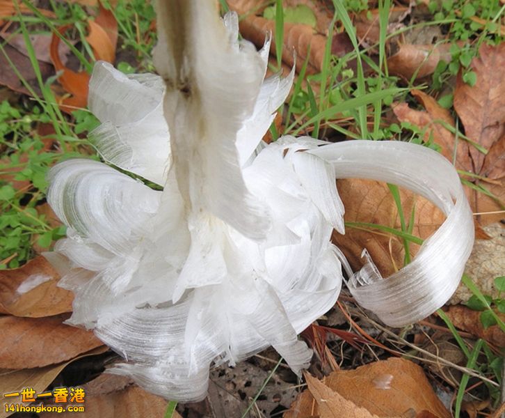 image012 [800x600].jpg