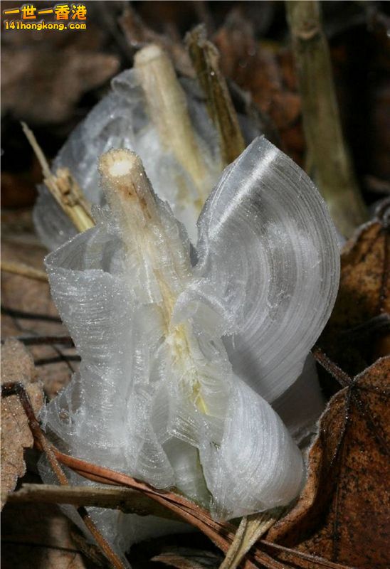 image014 [800x600].jpg