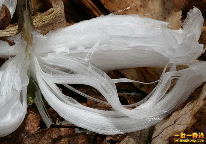 image015 [800x600].jpg