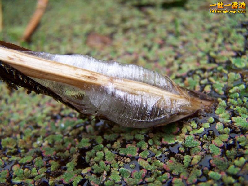 image016 [800x600].jpg