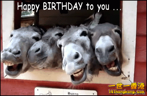 hoto pics ecards gif movies gifs animation animated _gif format free download do.gif