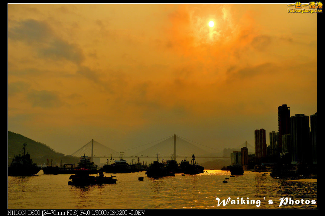 DSC_2136R.jpg