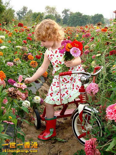 little-girl-bike_large.jpg