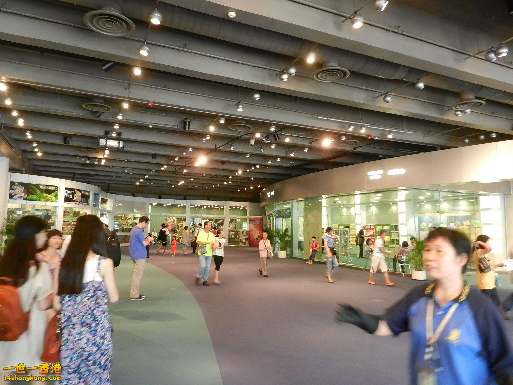 DSCN8832.JPG