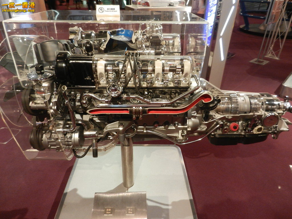 DSCN8855.JPG