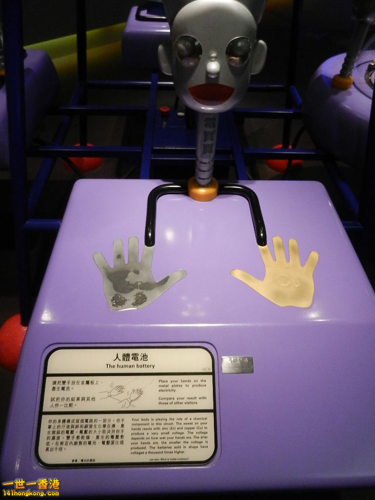 DSCN8911.JPG